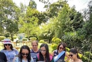 Nairobi: visita a una plantación de té púrpura y degustación