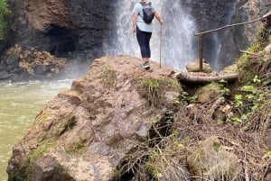 Nairobi: visita a una plantación de té púrpura y degustación