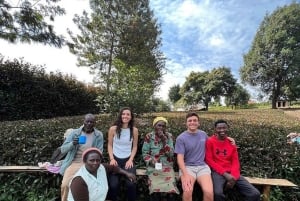 Nairobi: visita a una plantación de té púrpura y degustación