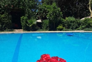 Nairobi: Quad Bike Wildlife Safari z transferami i posiłkiem