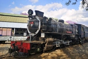 Nairobi: Railway Museum, War Memorial & KICC Tour