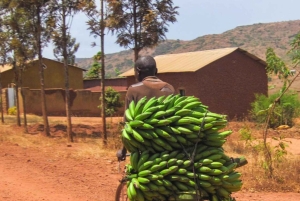 Nairobi: Rural Village Life Immersion Day with Pickup