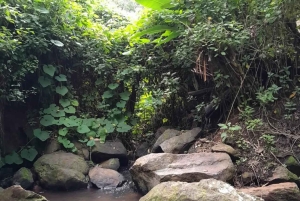 Nairobi: Rural Village Life Immersion Day with Pickup