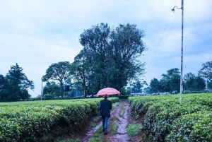 Nairobi: Rural Village Life Immersion Day with Pickup