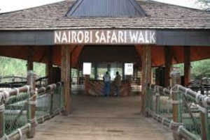 Nairobi: Safari Walk and Giraffe Center Day Tour