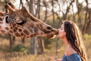 Nairobi: Safari Walk and Giraffe Center Day Tour