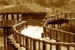 Nairobi: Spacer po safari i całodniowa wycieczka do centrum żyraf