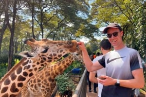 Nairobi: Spacer po safari i całodniowa wycieczka do centrum żyraf