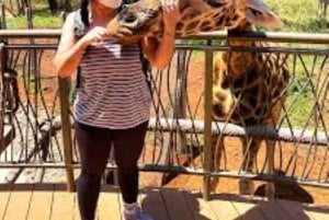 Nairobi: Spacer po safari i całodniowa wycieczka do centrum żyraf