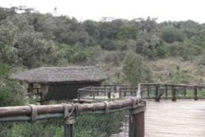 Nairobi: Spacer po safari i całodniowa wycieczka do centrum żyraf