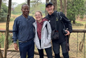 Nairobi Safari walk, Giraffe center, Karen Blixen & Bomas