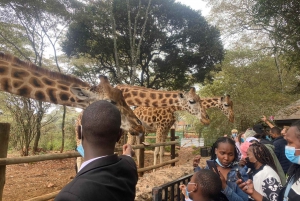 Nairobi Safari walk, Giraffe center, Karen Blixen & Bomas