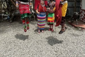 Nairobi: jantar no Safaripark, vida noturna e espetáculo de dança