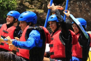 ナイロビ：サガナ川でラフティング＆ジップラインアドベンチャー（ランチ付き）