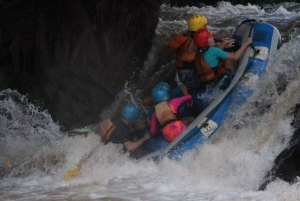 Найроби: однодневный тур по рафтингу по реке Сагана
