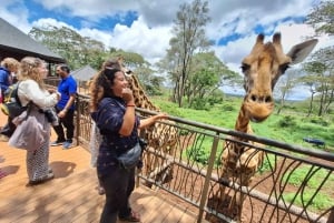 Nairobi: Sheldrick Elephant Orphanage and Giraffe Center