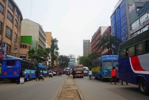 Nairobi: Halvdags guidad tur i nationalparken