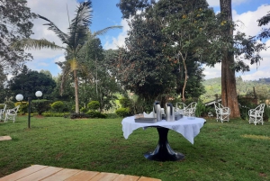Nairobi: Tea Farm Day Trip with Lunch at kiambethu