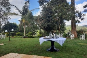 Nairobi: Tea Farm-dagstur med frokost på kiambethu