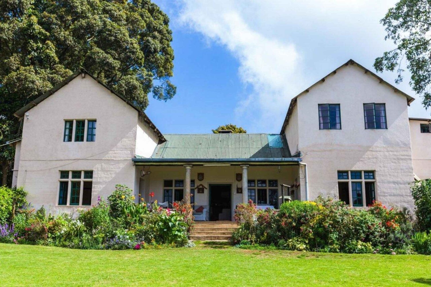 Nairobi: Theeplantage Tour met boswandeling en lunch