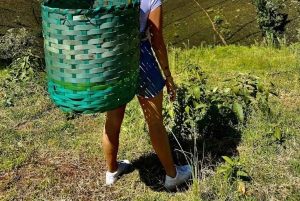 Halvdagstur til Nairobi National Park med afhentning på hotel