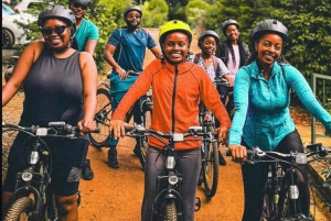 ナイロビ国立公園半日ゲームドライブ：ライオン、サイをご覧ください