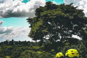 ナイロビ国立公園半日ゲームドライブ：ライオン、サイをご覧ください