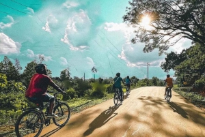 ナイロビ国立公園半日ゲームドライブ：ライオン、サイをご覧ください