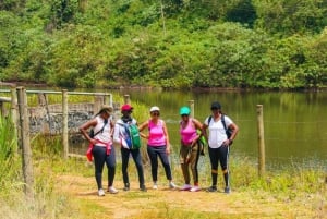 ナイロビ：ガトゥラグリーンパープルティーファーム日帰りツアー