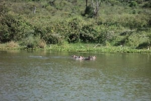 Nairobista Naivasha-järvelle päiväretki Crescent Islandilla