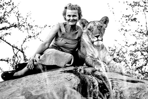 Dagstur fra Nairobi til Lake Naivasha med Crescent Island