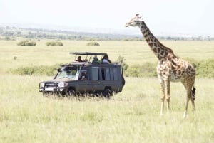 Nairobi to Maasai Mara Daytrip - AW