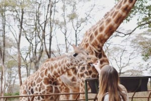 Wycieczki po Nairobi z różnymi opcjami