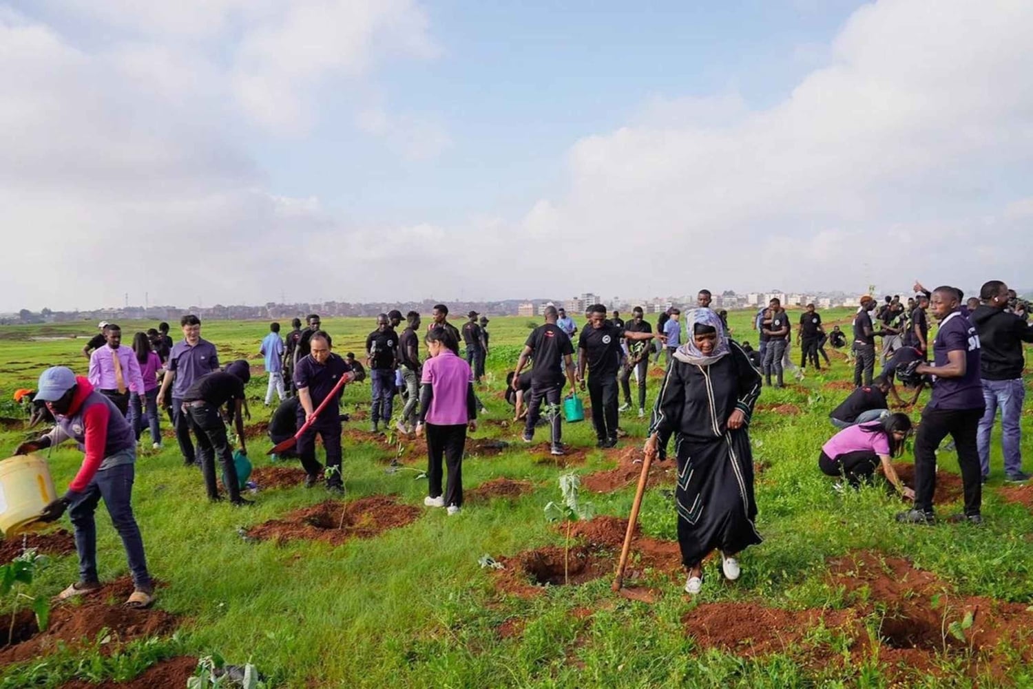 Nairobi: Treplantingsopplevelse med henting på hotellet