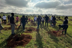 Nairobi: Treplantingsopplevelse med henting på hotellet