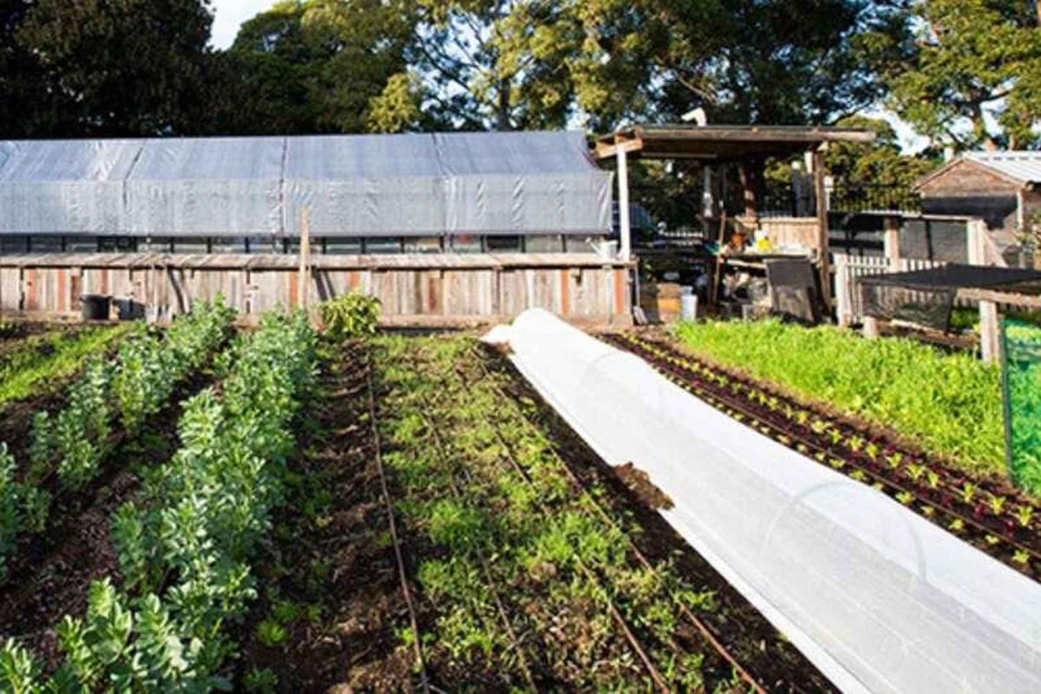 Nairobi: Urban Farming and Eco-Innovation Tour with Pickup
