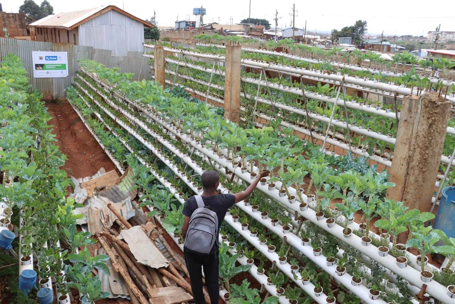 Nairobi: Urban Farming and Eco-Innovation Tour with Pickup