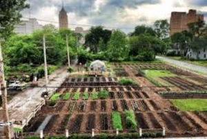 Nairobi: Urban Farming and Eco-Innovation Tour with Pickup