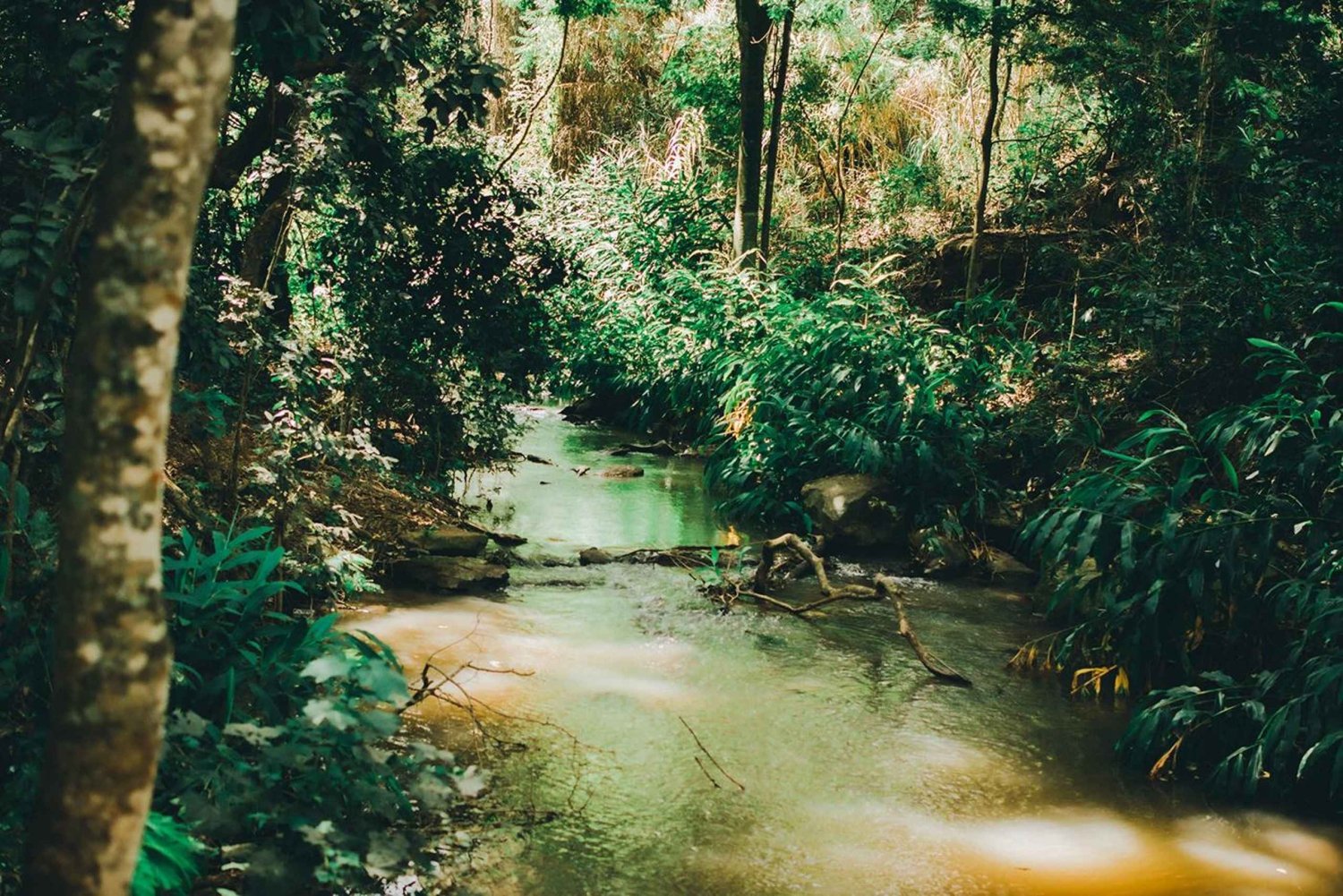 Nairobi: Urban Safari with Lunch and Rooftop Sundowner