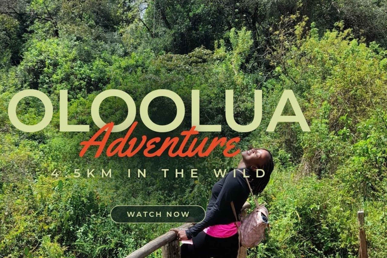 Nairobi : safari urbain avec déjeuner et apéritif sur un rooftop