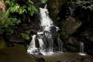 Nairobi: safari urbano con almuerzo y atardecer en la azotea