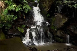 Nairobi : safari urbain avec déjeuner et apéritif sur un rooftop