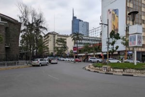 Nairobi City: Walking tour with Lifestyle and History.