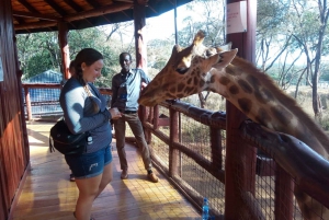 Nairobi: Wildlife, Karen Blixen and Local Culture Tour