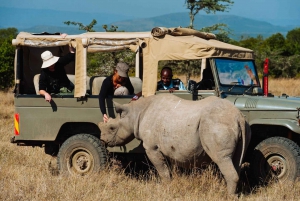 Nairobi: Wildlife Sites Day Tour with Sunrise Game Drive
