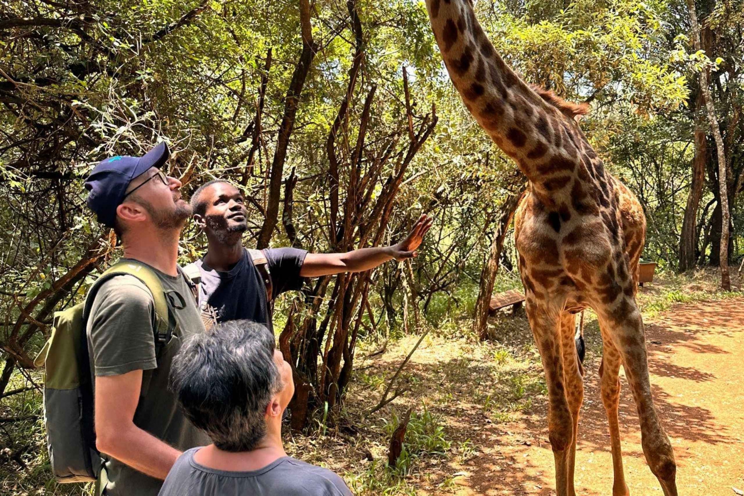 'Nairobis ultimata äventyr med vilda djur och kultur