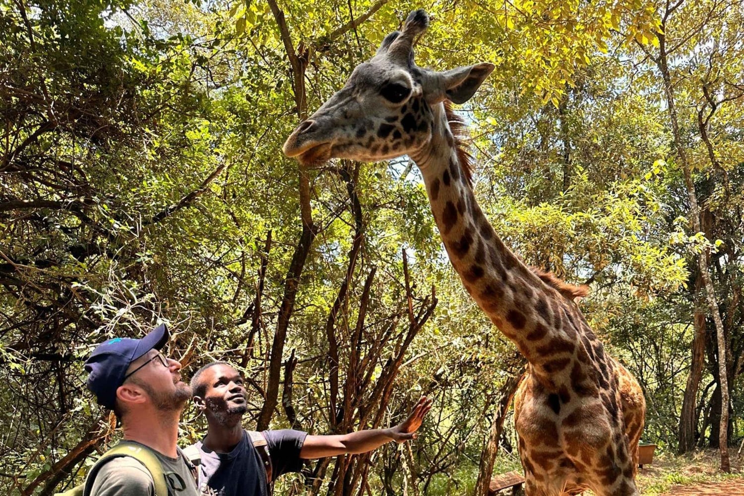 'Nairobis ultimatives Wildtier- und Kulturabenteuer