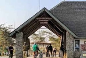 Naivasha: Bike ride through nature, HellsGate National Park