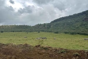 Naivasha: Bike ride through nature, HellsGate National Park
