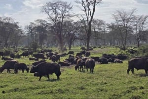 Naivasha: Bike ride through nature, HellsGate National Park